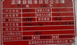 洛阳信息港爆料信息网最新